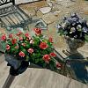 Средиземноморье Элегия солнечного побережья 